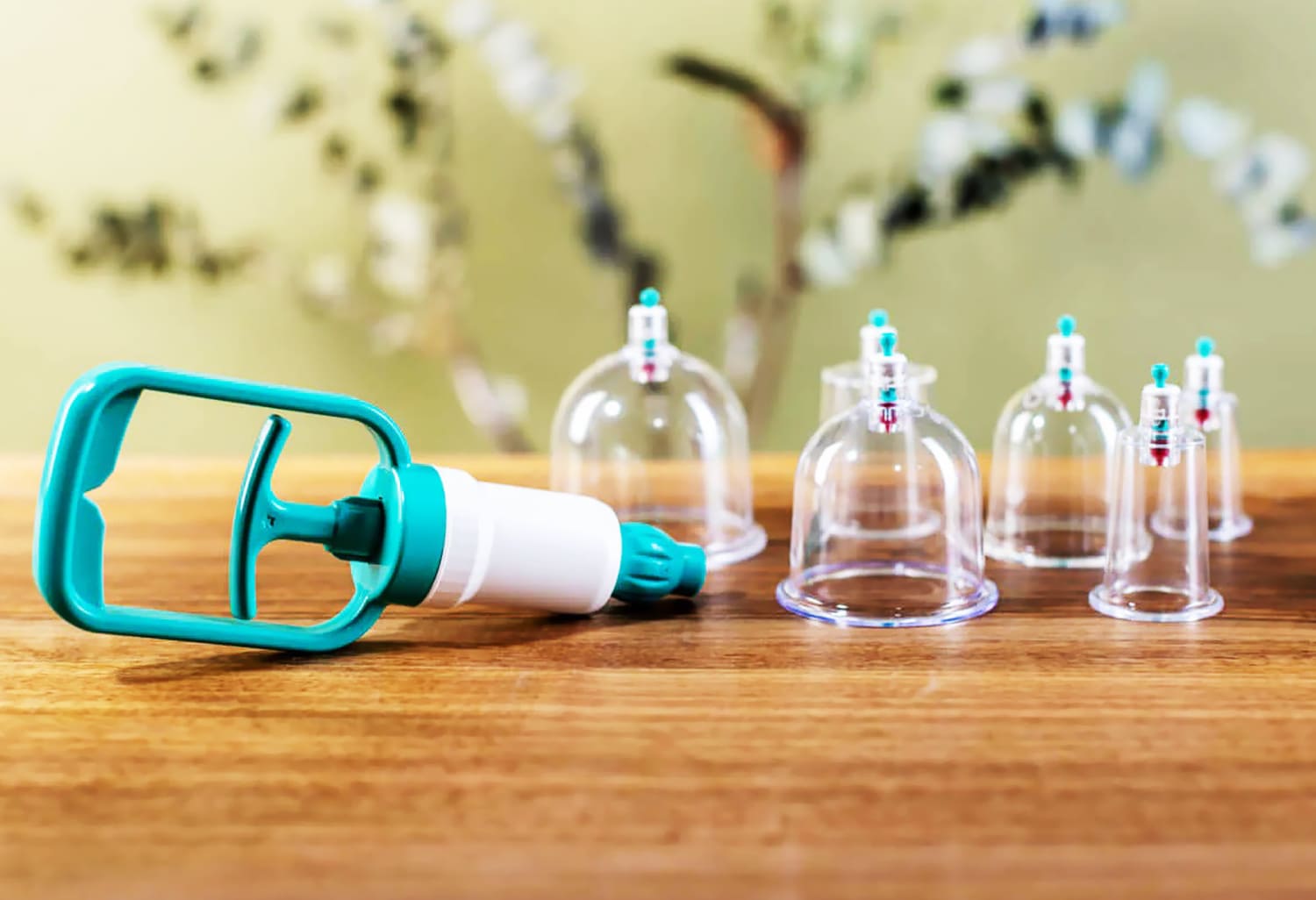 Wet Cupping Therapy Singapore Bengkel Manusia Indonesia Yayasan An Nubuwwah Batam Wet Cupping Therapy Singapore Bengkel Manusia Indonesia Yayasan An Nubuwwah Batam